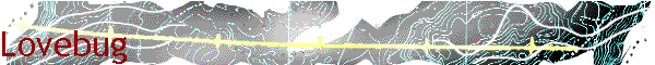Lovebug