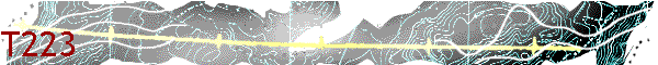 T223
