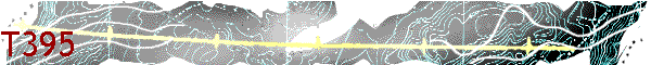 T395