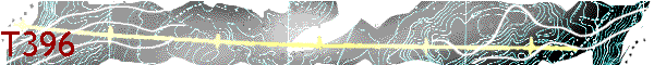 T396