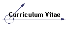 Curriculum Vitae
