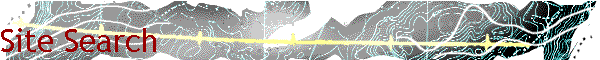 Site Search
